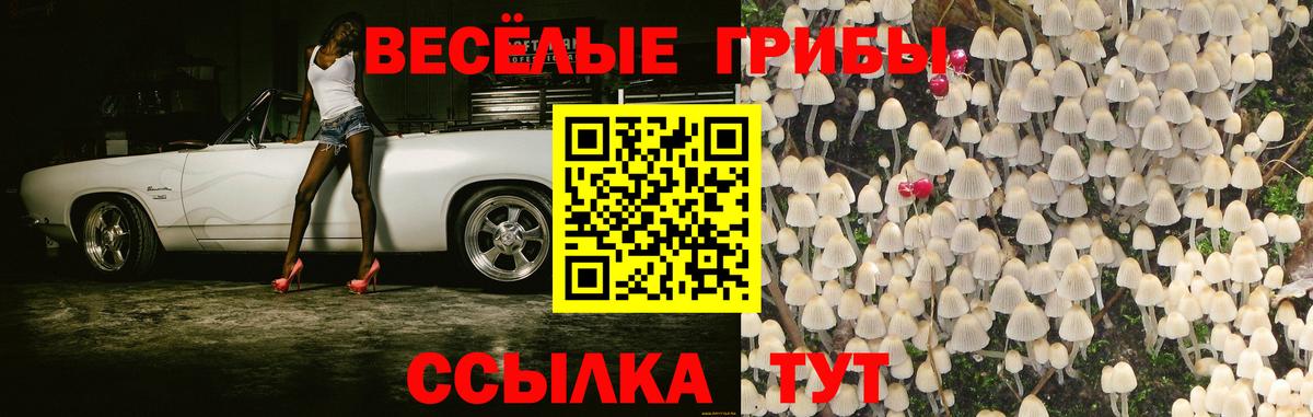 Псилоцибиновые грибы ЛСД Первоуральск