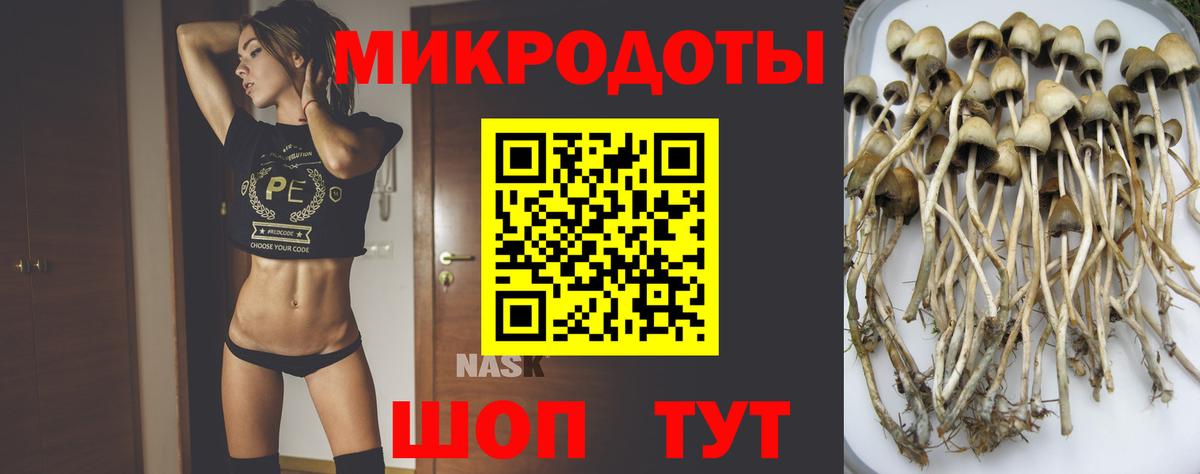 Псилоцибиновые грибы Cubensis  Вход с VPN  Первоуральск 